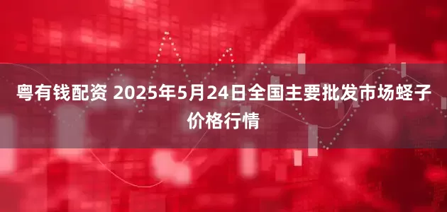 粤有钱配资 2025年5月24日全国主要批发市场蛏子价格行情