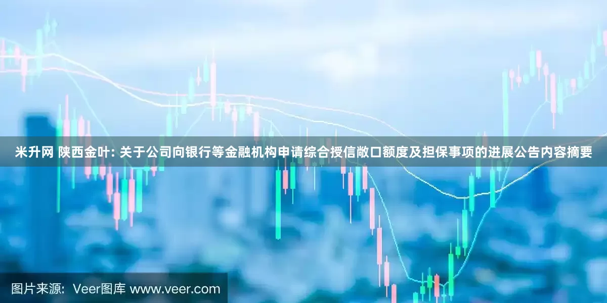 米升网 陕西金叶: 关于公司向银行等金融机构申请综合授信敞口额度及担保事项的进展公告内容摘要