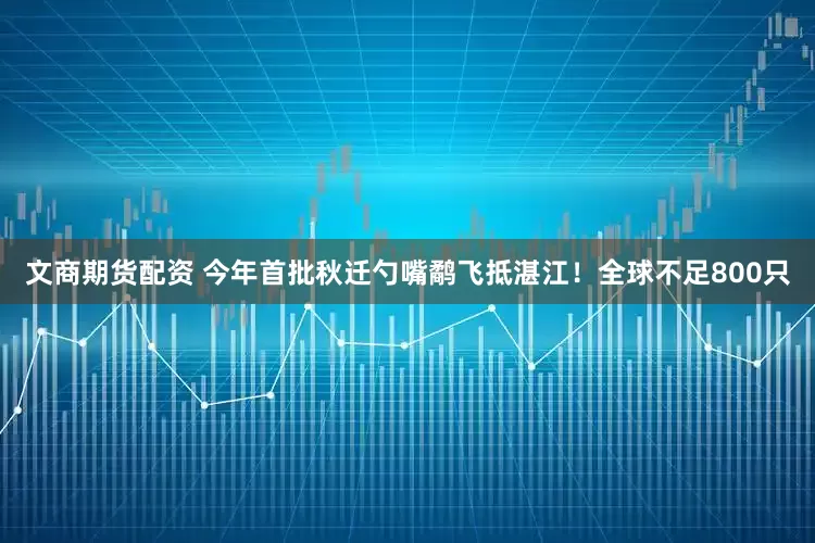 文商期货配资 今年首批秋迁勺嘴鹬飞抵湛江！全球不足800只