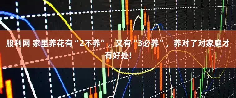 股利网 家里养花有“2不养”，又有“3必养”，养对了对家庭才有好处!